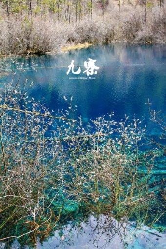 《楞严经·五十种阴魔》简释414
